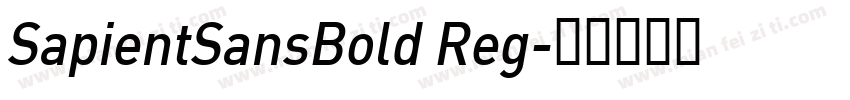 SapientSansBold Reg字体转换